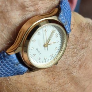 Accutime Watch Corp Ladies PC21J Watch